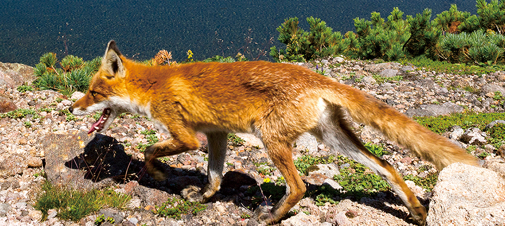 Asahidake Visitor Center