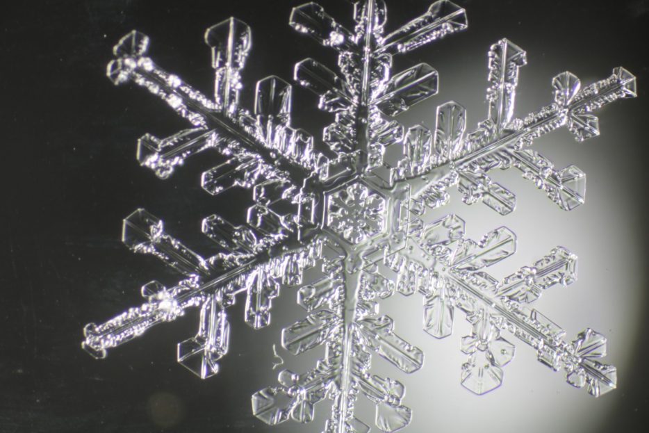 雪の結晶 | 旭岳ビジターセンター
