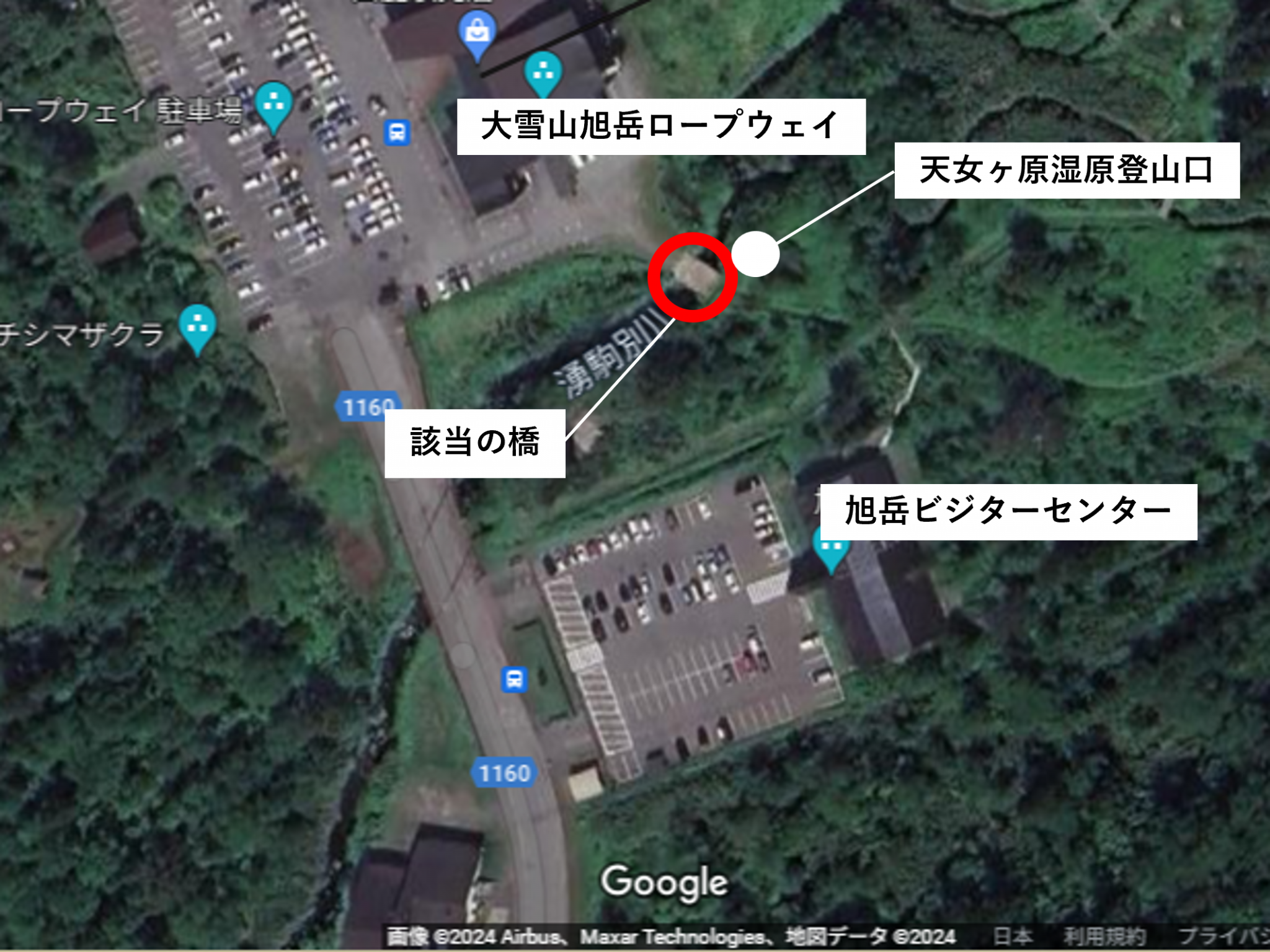 旭岳 ロープウェイ 駐 車場