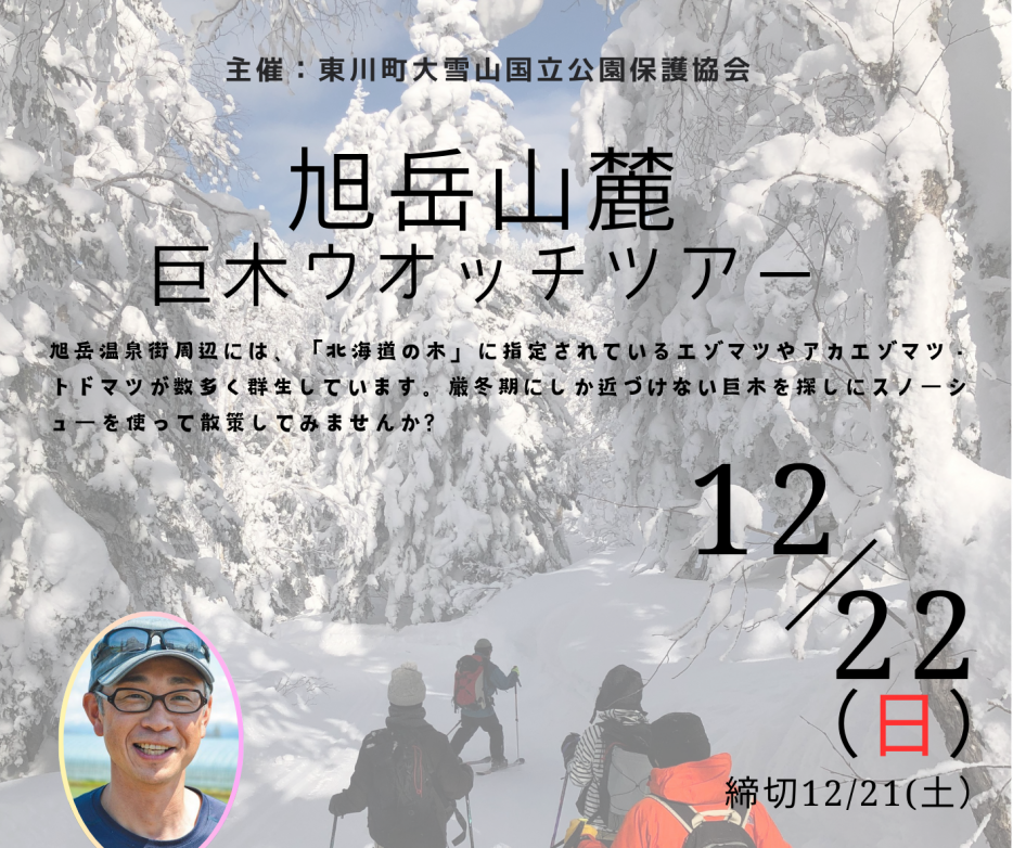 12/22 旭岳山麓巨木ウォッチツアー | 旭岳ビジターセンター