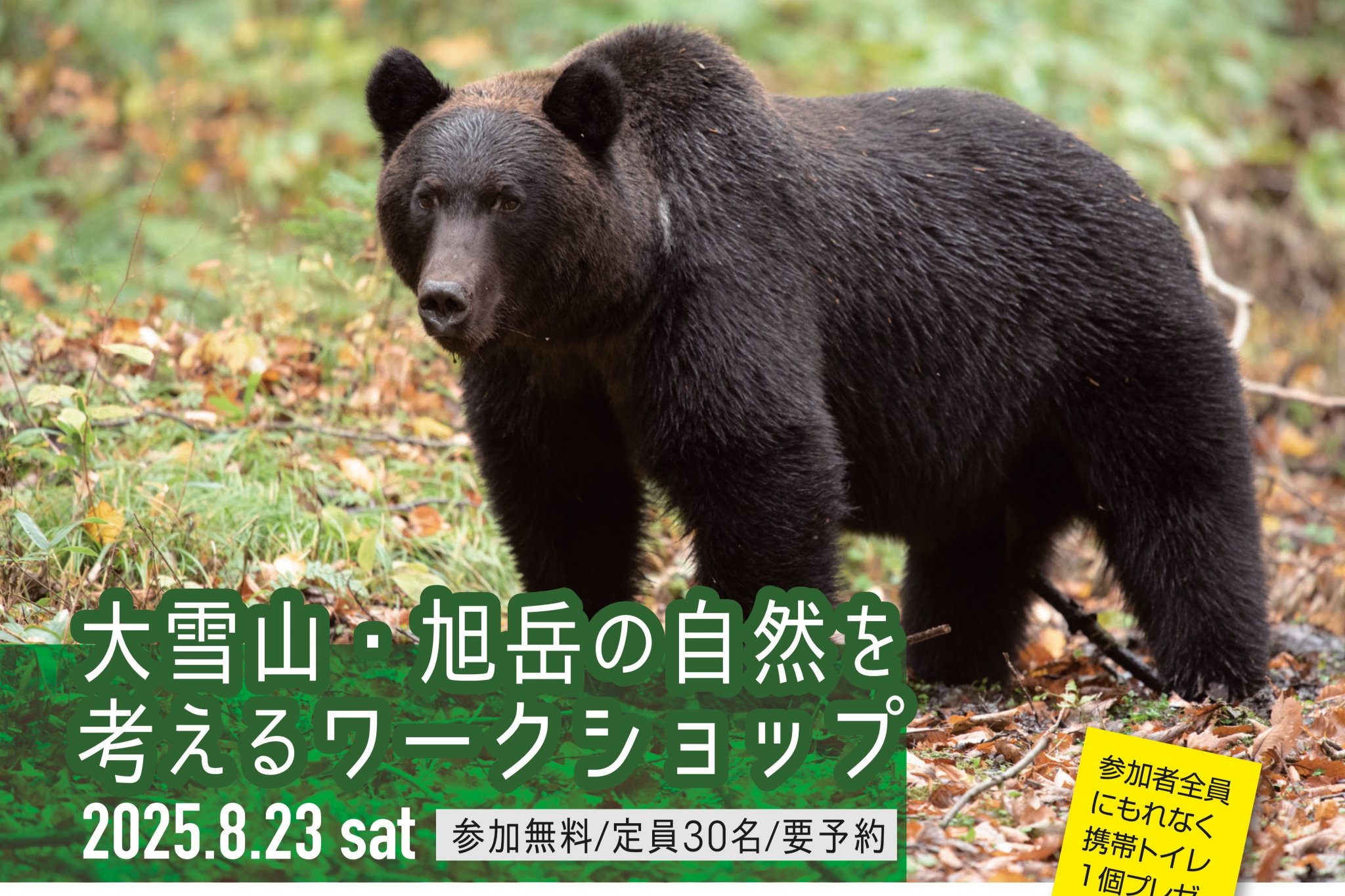 t*7様 新作　旭山動物園-寒風山展望台2種-和歌山電鉄4種コンプ＋ゴタマ記念メ t*7様 新作 旭山動物園-寒風山展望台2種-和歌山電鉄4種コンプ＋