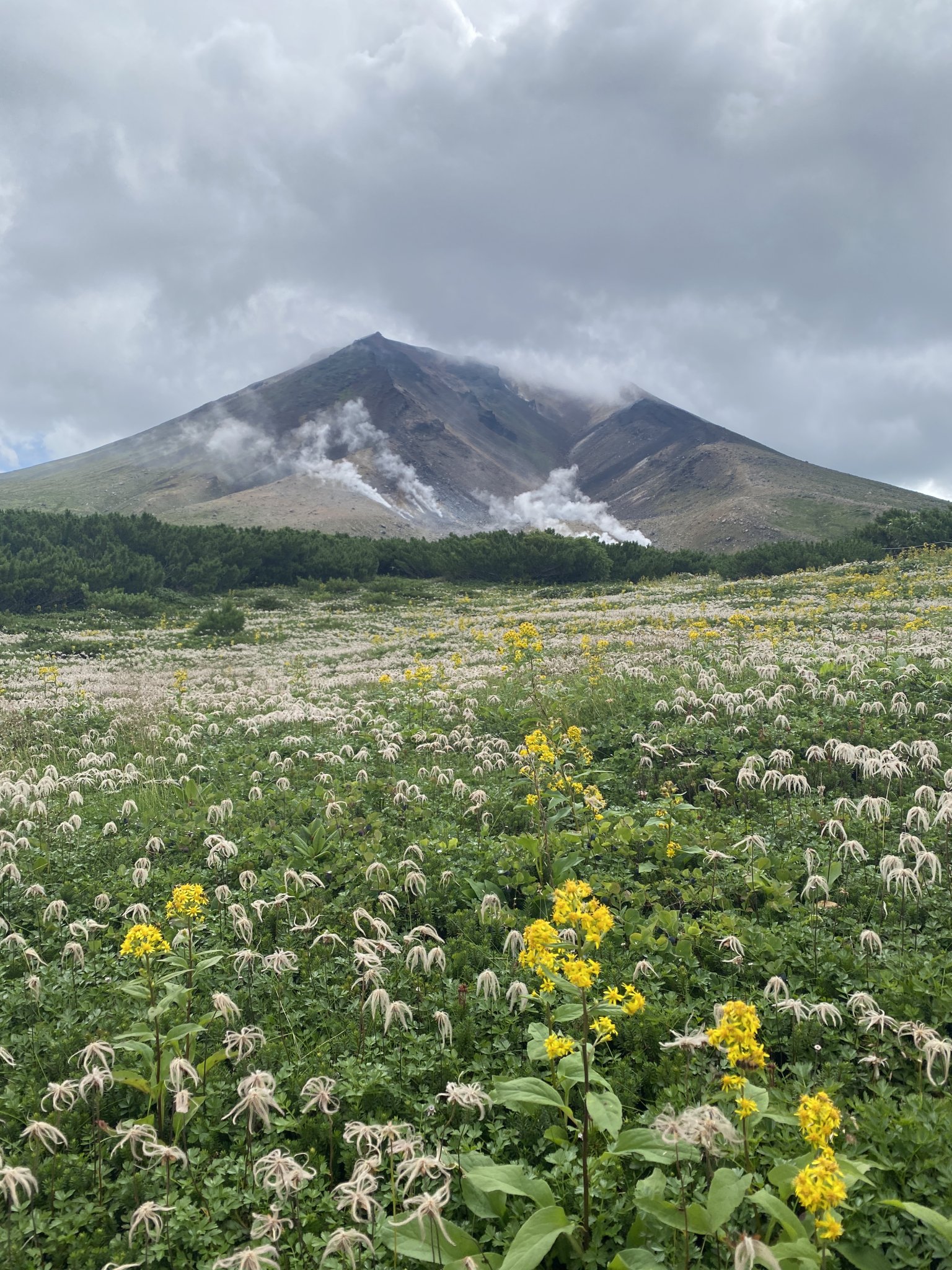 大雪連峰 大雪山 - Wikipedia