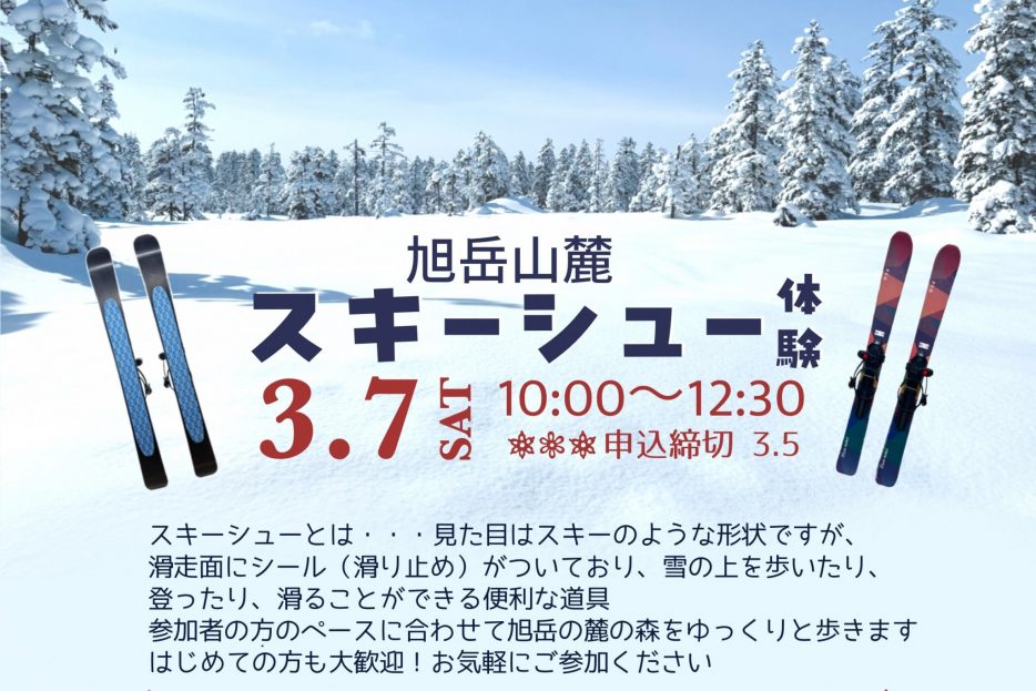 旭岳山麓スキーシュー体験